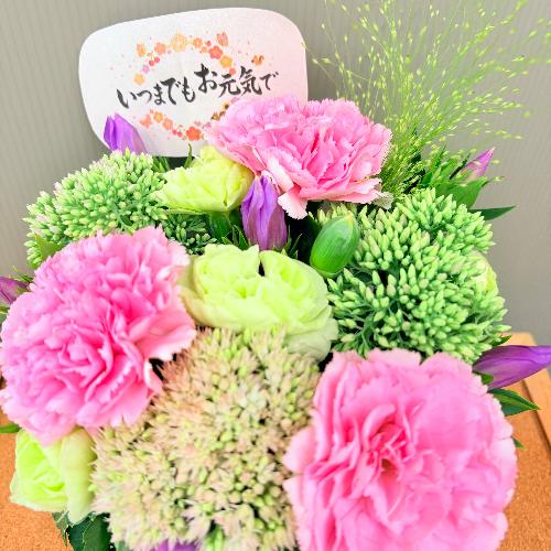 �h�V�̓��A�����W�����g�l�C�̃i�`�������s���N�@�R���p�N�g3