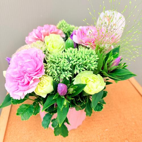 �h�V�̓��A�����W�����g�l�C�̃i�`�������s���N�@�R���p�N�g4