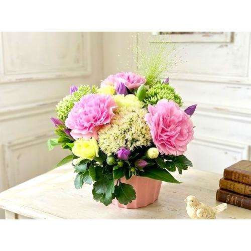 �l�C�̃i�`�������s���N�ȃR���p�N�g�A�����W�����g