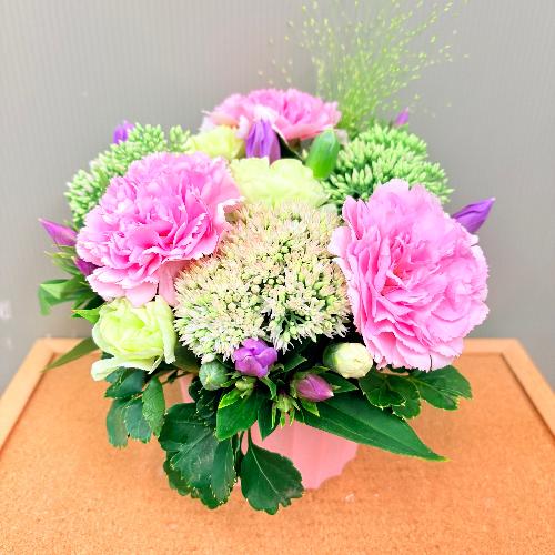 �l�C�̃i�`�������s���N�ȃR���p�N�g�A�����W�����g2