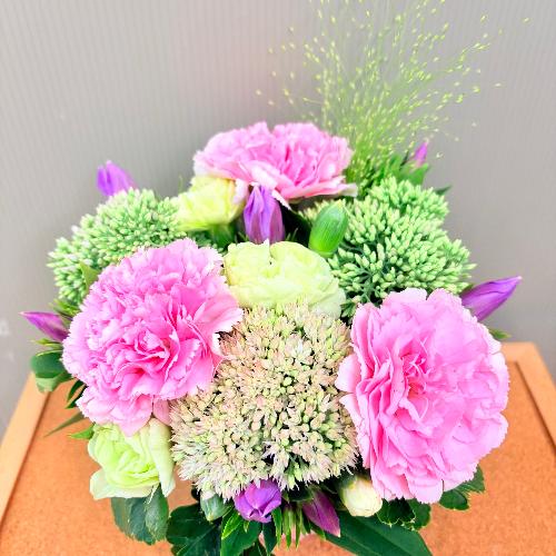 �l�C�̃i�`�������s���N�ȃR���p�N�g�A�����W�����g3