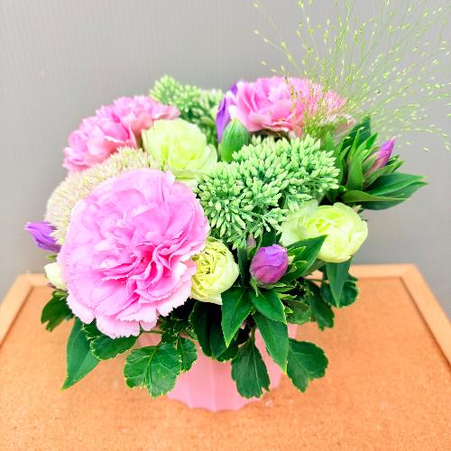 �l�C�̃i�`�������s���N�ȃR���p�N�g�A�����W�����g4