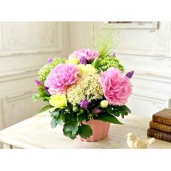 �l�C�̃i�`�������s���N�ȃR���p�N�g�A�����W�����g