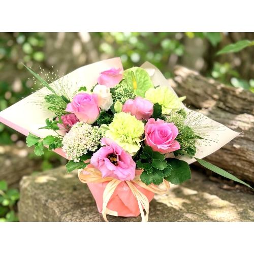 �{�����[���̂���l�C�̃i�`�������s���N�o���̃A�����W�����g