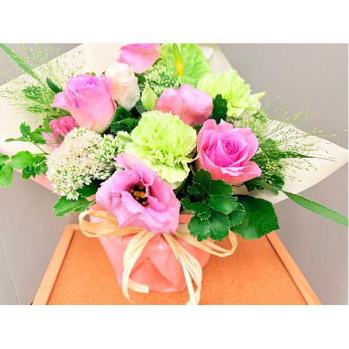 �{�����[���̂���l�C�̃i�`�������s���N�o���̃A�����W�����g3