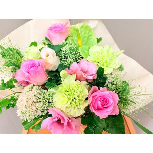 �{�����[���̂���l�C�̃i�`�������s���N�o���̃A�����W�����g4