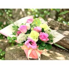 �{�����[���̂���l�C�̃i�`�������s���N�o���̃A�����W�����g