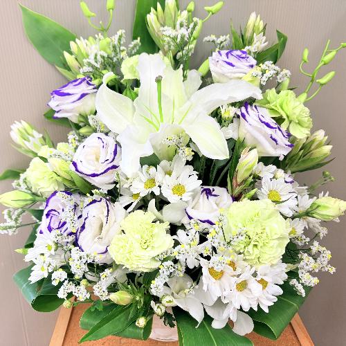 �l�\�����p�܂Ŕ����S�ɏ������̌䋟�A�����W�����g2