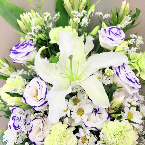 �l�\�����p�܂Ŕ����S�ɏ������̌䋟�A�����W�����g3
