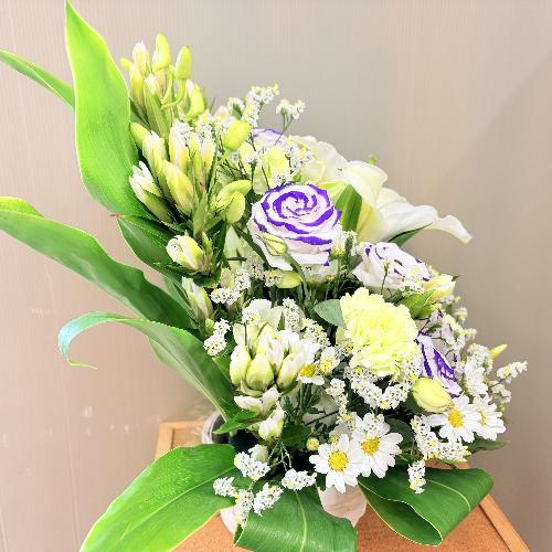 �l�\�����p�܂Ŕ����S�ɏ������̌䋟�A�����W�����g4
