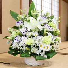 �l�\�����p�܂Ŕ����S�ɏ������̌䋟�A�����W�����g