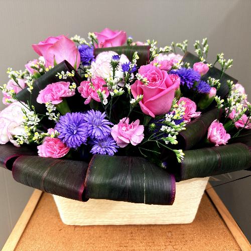 ���������̂��鉡���̃s���N���n��j�A�����W�����g2