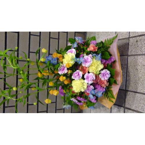 �T���_�[�\�j�A�̃p�X�e���E�A�����W�����g