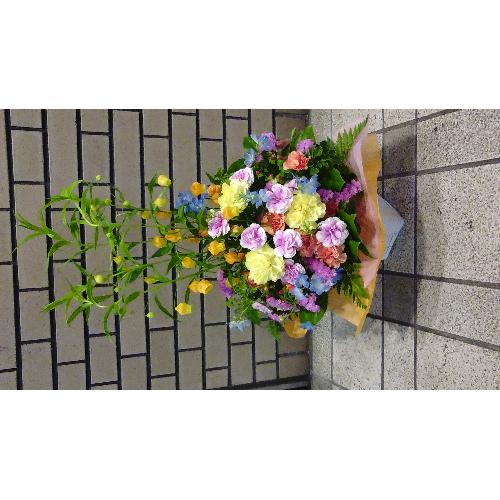 �T���_�[�\�j�A�̃p�X�e���E�A�����W�����g2