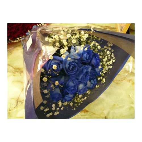 �u���[���[�Y�̉ԑ��@