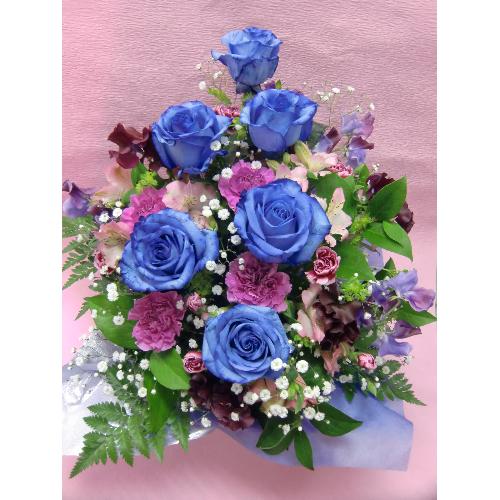 �u���[���[�Y�ƁA�J�[�l�[�V�����̃A�����W�����g