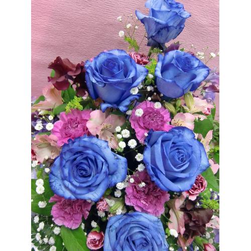 �u���[���[�Y�ƁA�J�[�l�[�V�����̃A�����W�����g2