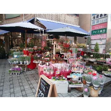 大阪府寝屋川市の花屋 株 花 フィオーレ をご紹介 フラワーギフトはプロのお花屋さんにおまかせ フジテレビフラワーネット