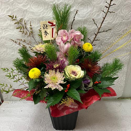 �m�����_���ȃA�����W