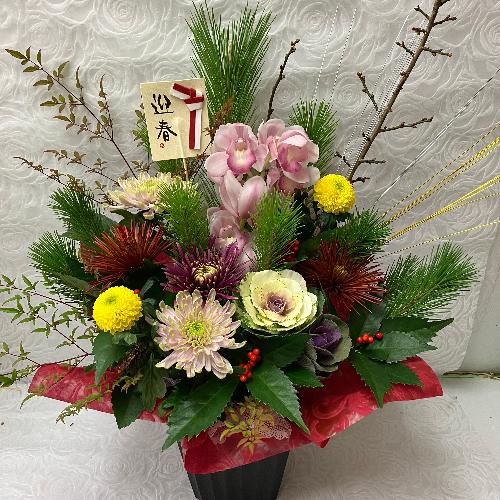 �m�����_���ȃA�����W2