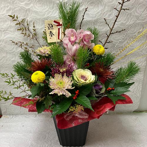 �m�����_���ȃA�����W3