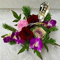 �������A�����W�@���_���E���[�Y