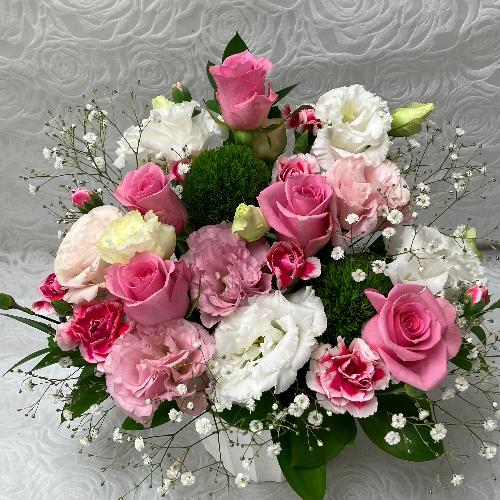 �G���K���g�ȃs���N�A�����W