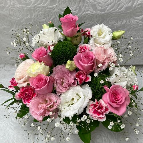 �G���K���g�ȃs���N�A�����W2