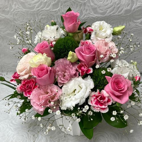 �G���K���g�ȃs���N�A�����W3