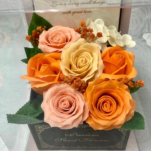 �G���K���g�ȃ\�[�v�t�����[�E�I�����W2