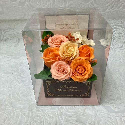 �G���K���g�ȃ\�[�v�t�����[�E�I�����W3