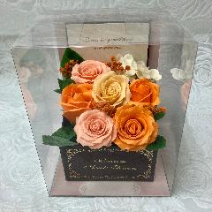 �G���K���g�ȃ\�[�v�t�����[�E�I�����W