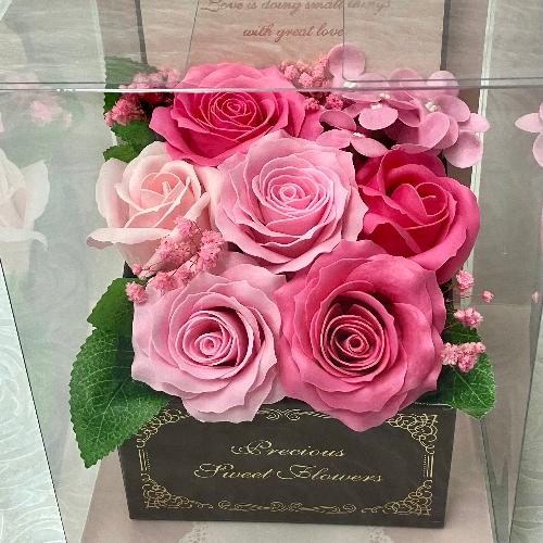 �G���K���g�ȃ\�[�v�t�����[�E�s���N