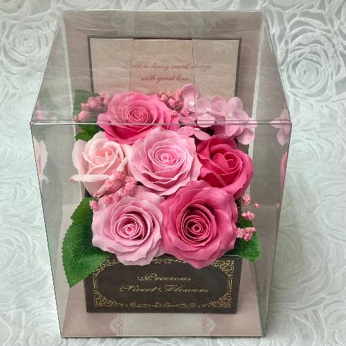 �G���K���g�ȃ\�[�v�t�����[�E�s���N2