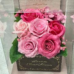 �G���K���g�ȃ\�[�v�t�����[�E�s���N