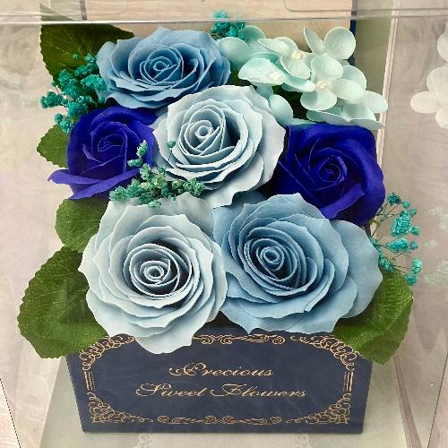 �G���K���g�ȃ\�[�v�t�����[�E�u���[2