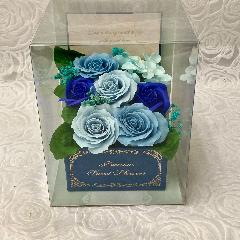 �G���K���g�ȃ\�[�v�t�����[�E�u���[