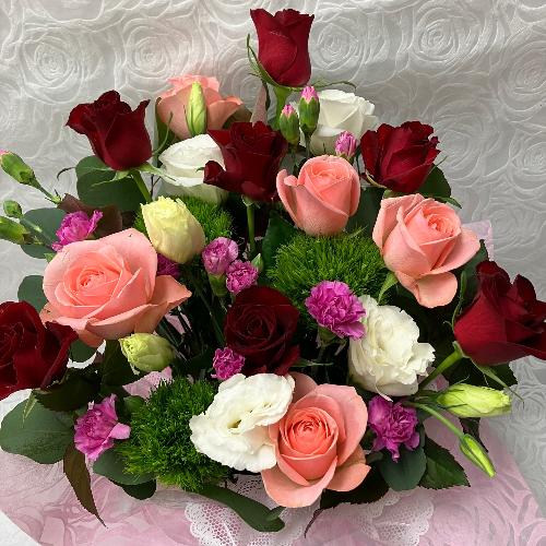 �o���̃G���K���X�A�����W2