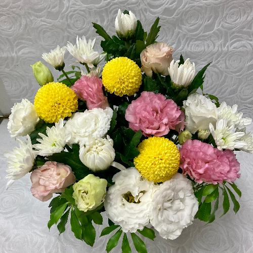 �e�ƃg���R�L�L���E�̃A�����W3