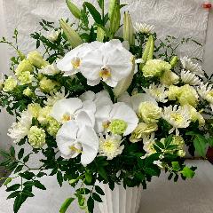 ���؂Ȃ������A�����W