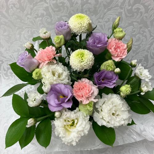 �䋟�E�s���N���p�[�v���A�����W2