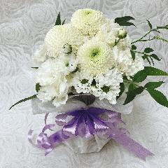m䋟nX^hu[PEzCg