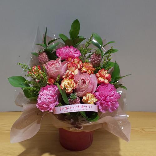 ��̓�����@�J�[�l�[�V�����ƃo���̉����A�����W�����g4