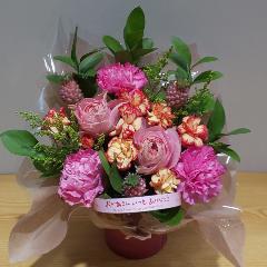 ��̓�����@�J�[�l�[�V�����ƃo���̉����A�����W�����g