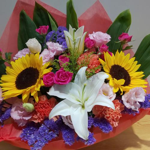 �J���t���A�����W�����g�@�Ђ܂��I�I2