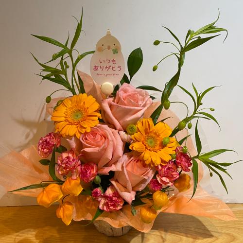 ��̓��I�l�C�I�I�����W�̃o���I���邭�����A�����W2