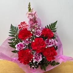 ��̓��I�Ԃ��J�[�l�[�V�������C���̃A�����W�����g�I�i�����ݑ�����j