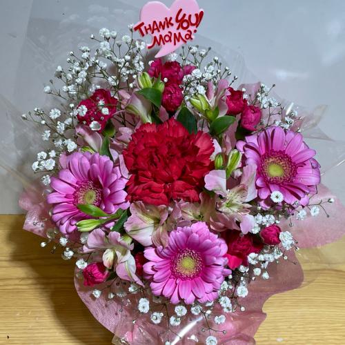 ��̓��I�s���N�ƐԂ̂܂�܂�����A�����W�����g�i�����ݑ��j3