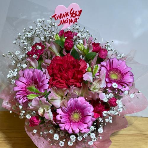 ��̓��I�s���N�ƐԂ̂܂�܂�����A�����W�����g�i�����ݑ��j4