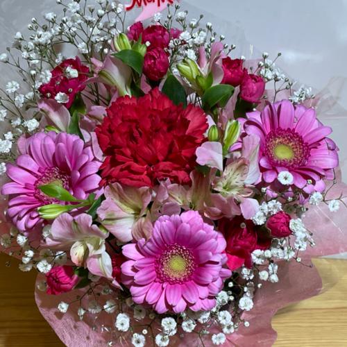 ��̓��I�s���N�ƐԂ̂܂�܂�����A�����W�����g�i�����ݑ��j5